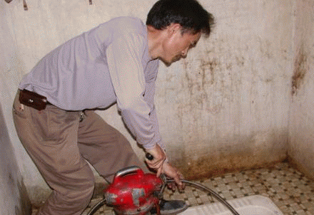 �ɹ�����